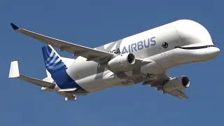 RIAT 2022 Airbus Beluga XL Flypast At RAF Fairford Airshow  [4K] 16/07/22