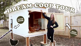 OUR DREAM CHICKEN COOP | Minimal Care Poultry Housing | DIY Efficient Design for Backyard Homestead