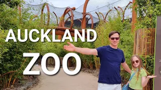 AUCKLAND ZOO ADVENTURE || SEE WHATS NEW AT THE ZOO || NEW ZEALAND