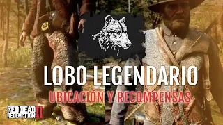 LOBO LEGENDARIO: UBICACIÓN Y RECOMPENSAS | RED DEAD REDEMPTION 2