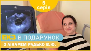 «Дитина для Тетяни» - 5 серія - Повторна стимуляція | ЕКЗ в подарунок з лікарем Радько В.Ю.