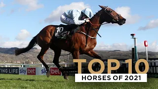 TOP 10 HORSES OF 2021