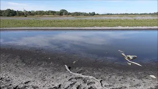 Bibra Lake Drying Out