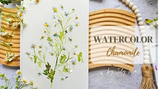 Watercolor Chamomile Flower: A Relaxing Video