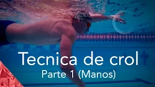 Como nadar crol correctamente. Parte 1. Técnica Manos. Estilo libre natación.