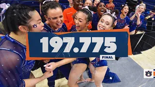 Gymnastics Highlights 2022: Auburn in the NCAA Regional Final