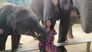 Elephant Sanctuary Changrai