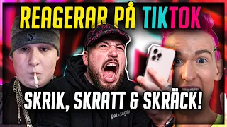 TIKTOK GER MIG SKRÄCK, SKRIK OCH SKRATT *HAHA ELD*