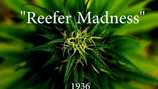 1936 "Reefer Madness." Full Length Movie.