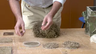 MOOC From Grass to product - 5. Biobased building materials from grass fibers