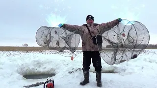 Рыбалка на морды. Попробовали головы у ратанов. Нам очень понравилось.