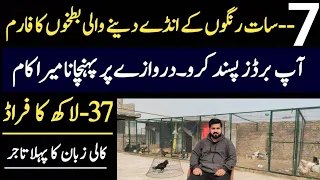 Fancy Duck Farming And Fancy Chicken Farming Business Brand in Pakistan | Ajmal Hameed