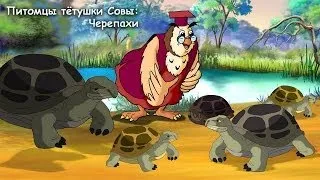Мои домашние питомцы - Черепахи (Уроки тетушки Совы) серия 2