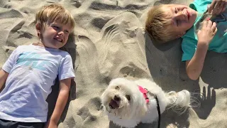 Visiting Dog Beach Ocean Beach with kids