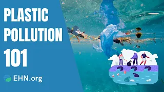 Plastic Pollution, Explained