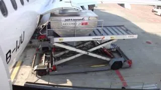Cargo Loading : A320 at Zürich