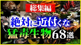 【ゆっくり解説】【総集編】絶対に近づくな！ヤバい猛毒生物68選を解説/キノコ、ヘビ、食べ物、意外な生物他【作業用】【睡眠用】