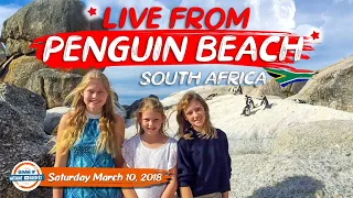 Boulders Beach South Africa 🇿🇦 🐧Walk and Talk with Penguins in South Africa | 197 Countries, 3 Kids