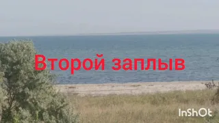 Кефали Тилигульского лимана.