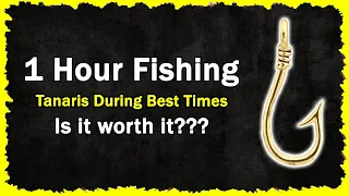 1 Hour Fishing Tanaris | Mobile | Wow Classic
