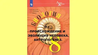 П3 ПРОИСХОЖДЕНИЕ И ЭВОЛЮЦИЯ ЧЕЛОВЕКА. АНТРОПОГЕНЕЗ. БИОЛОГИЯ 8 КЛАСС, АУДИОУЧЕБНИК