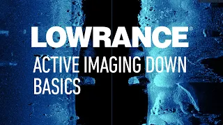 Lowrance | Active Imaging™ DownScan Basics