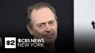 Actor Steve Buscemi randomly punched in Manhattan