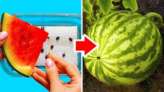 35 FRESH FOOD LIFE HACKS TO BOOST YOUR DAY