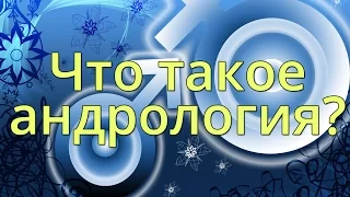 Что такое андрология? Чем занимается врач андролог?