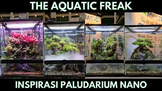 INSPIRASI PALUDARIUM NANO || PEMULA PASTI LANGSUNG BISA BIKIN KAYA GINI !!!