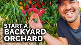 How to Start a Home Orchard (COMPLETE GUIDE)