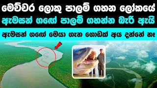 ඇමසන් ගඟට පාලම් දාන්න බැරි මෙන්න මේ නිසා | Why The Amazon River Has No Bridges