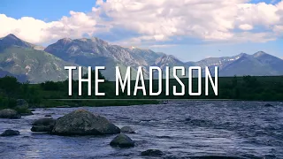 Madison River | Stonefly and Caddis Hatch