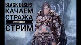 Black Desert Качаем стража Изучаем скилы Пробуждение или Традиция BDO PS4