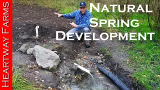 Developing a Natural Spring | Off-Grid Water | Well | Prepping | WROL | Solar Pump | Heartway Farms