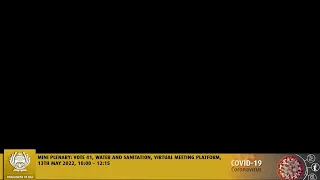 Mini Plenary Vote 41, Water and Sanitation, 13th May 2022