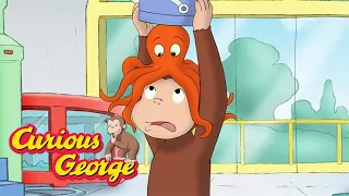 Curious George 🐙 George Learns About Sea Animals 🐙 Kids Cartoon 🐵 Kids Movies 🐵 Videos for Kids