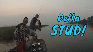 California Delta Bass Fishing 2020