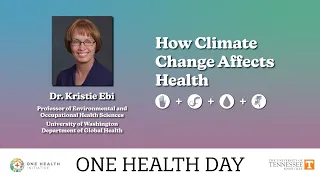 How Climate Change Affects Health