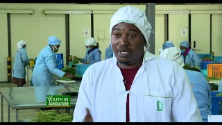 I left my Job for farming, now I export French beans - Youth in Agriculture