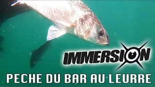 Pêche du bar au leurre : une journée en immersion avec Pierre Guillard