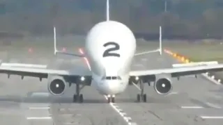 Airbus Beluga XL Making First Flight