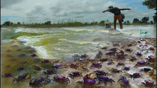 amazing! a fisherman skill catch lots of crabs in water after flood into field by best hand