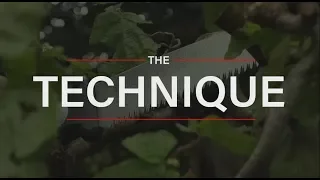 The Technique - Using a Silky Pull Saw