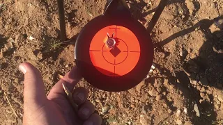 204 Ruger vs 223