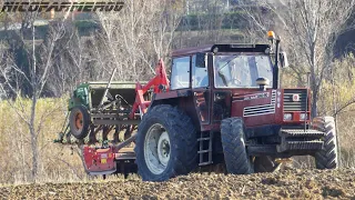 SOWING PEAS IN COMBINED OLD STYLE | FIATAGRI 140-90 DT + MASCHIO DM 3000 + AMAZONE D8-30 SPECIAL