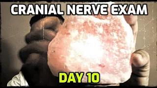 Cranial Nerve Exam every day until we hit 1k Subscribers | ASMR | Day 10