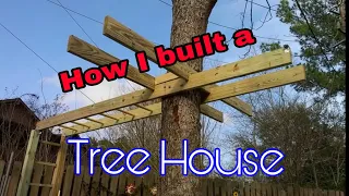 Tree house project 1