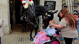 A GENTLE ACT OF KINDNESS: Look at How King's Horse Kisses Her It's as if He's Giving Her a Blessing