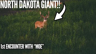 GIANT North Dakota Buck! Unbelievable Encounter with "Moe" | 2022 Live Updates